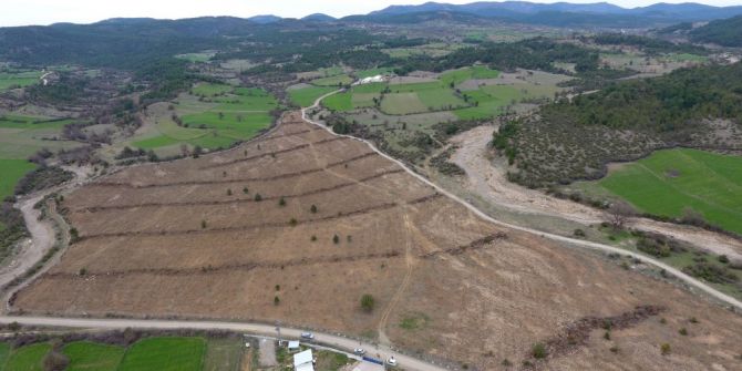 Kastamonu’da 200 Dekarda Ceviz Ve Badem Dikildi
