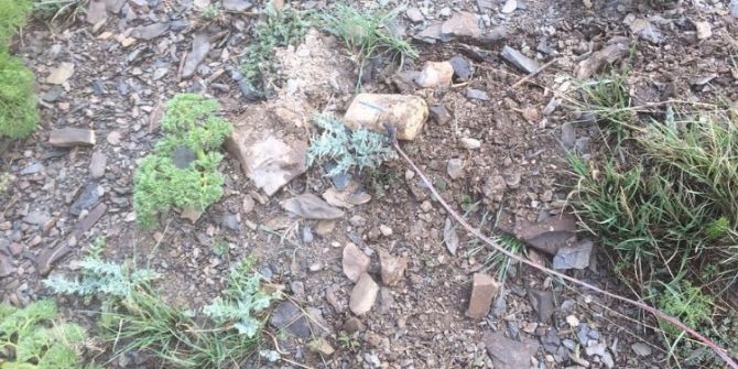 Jandarma Özel Harekat Komandolarından Yüksekova Dağlarında Başarılı Operasyon