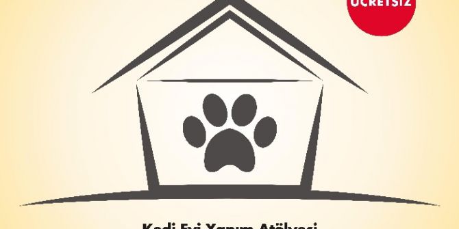 İzmirli Minikler, Kedi Dostları İçin Yuva Yapacak