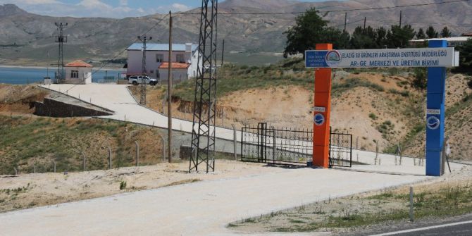 21 İlin Balıklarını Elazığ Ar-ge Merkezi Üretecek