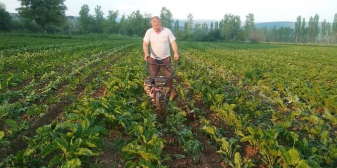 Motorlu Pancar Çapa Makineleri Kadın İşçilerin Yerini Aldı