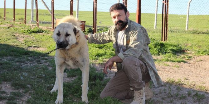 ’Kangal’a Bilimsel Ve Teknolojik Takip