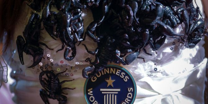 Taylandlı Akrep Kraliçesi, Guinnes Rekorlar Kitabında