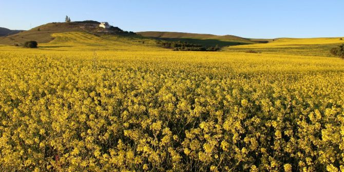 Sivas’ta Kartpostallık Manzara