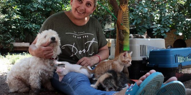 Evinde Yüzü Aşkın Kedi Ve Köpek Besleyen Kadın Mahkemelik Oldu