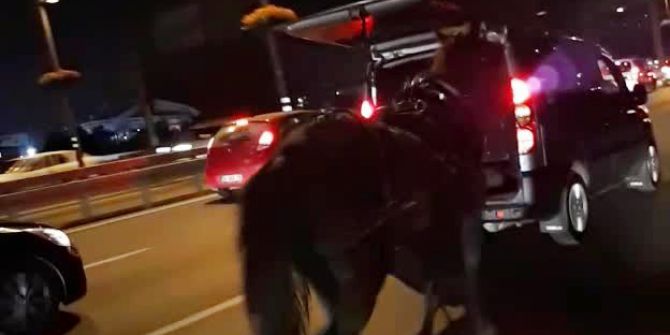 Vicdansız Sürücü Arabasının Arkasına Bağladığı Atı Peşinden Koşturdu