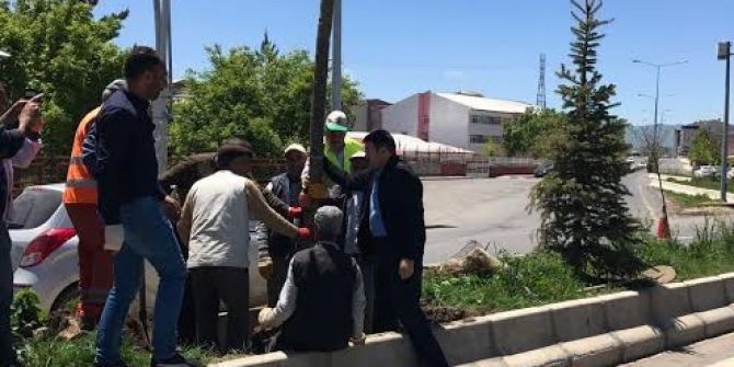 Vali Işın, Çalışmaları Yerinde İnceliyor