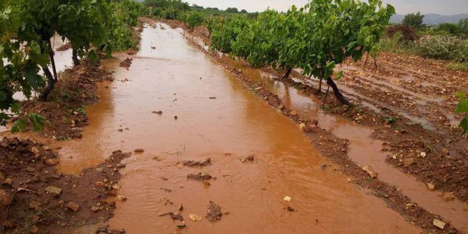 Denizli’de Sağanak Ve Dolu Tarlalara Zarar Verdi