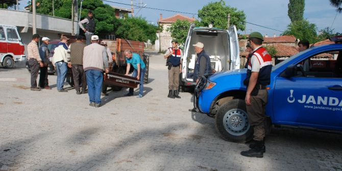 Kestiği Ağacın Altında Kaldı