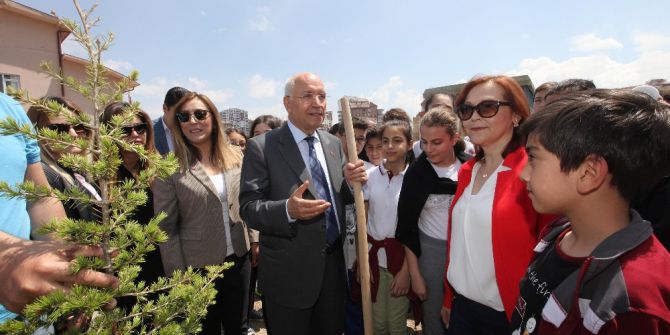 Yenimahalle’de Harçlıklar Çam Fidanına Dönüştü