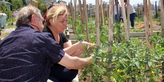 Çankaya’da Bostan Keyfi