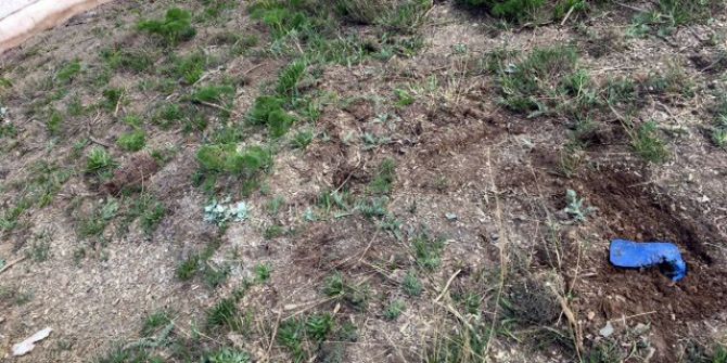 Yüksekova Domuztepe Bölgesinde Bulunan 5 Adet El Yapımı Patlayıcı İmha Edildi