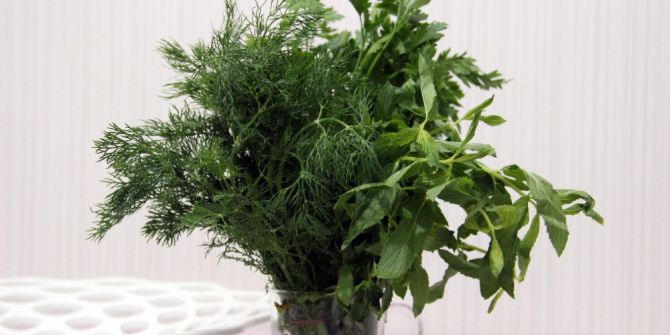 Açlığa Karşı Nane, Susuzluğa Salatalık