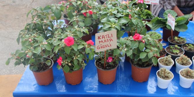 Bahçe Çiçeklerine Yoğun İlgi