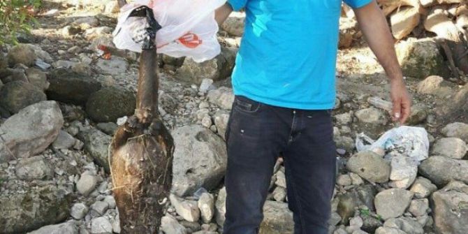 Dicle Nehrinde Ölü Su Samuru Bulundu