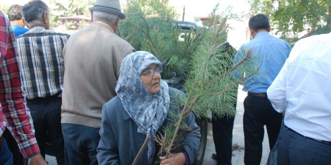 Çevre Gününde Halka Fidan Dağıtıldı