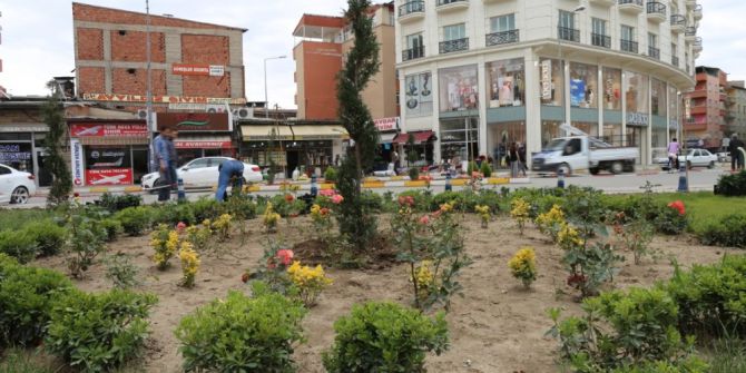 Iğdır Belediyesi’nden Yeşillendirme Çalışmaları