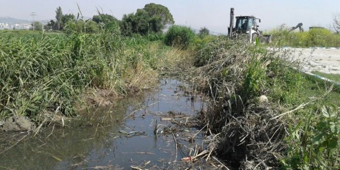 Daha Temiz Bir Muradiye İçin Çalışıyorlar