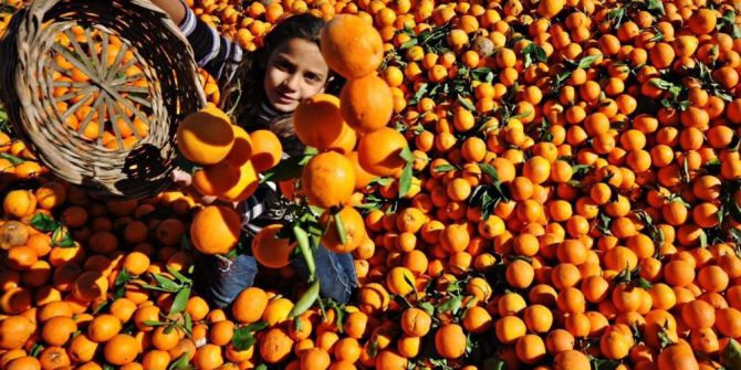 "Bir Turuncu Öykü Adana" Proje Çekimleri Başladı