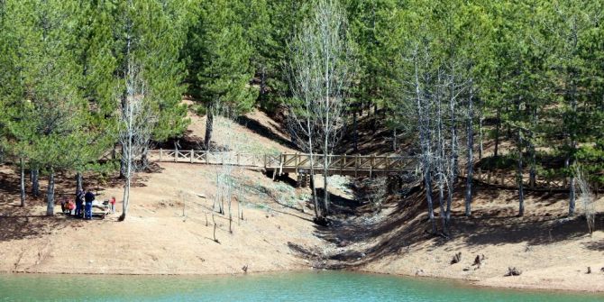 Çamlık Milli Parkı, Sosyal Yaşam Merkezi Haline Dönüşüyor