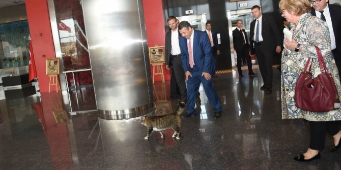 Kılıçdaroğlu, Almanya Dışişleri Bakanı Gabriel’le Bir Araya Geldi