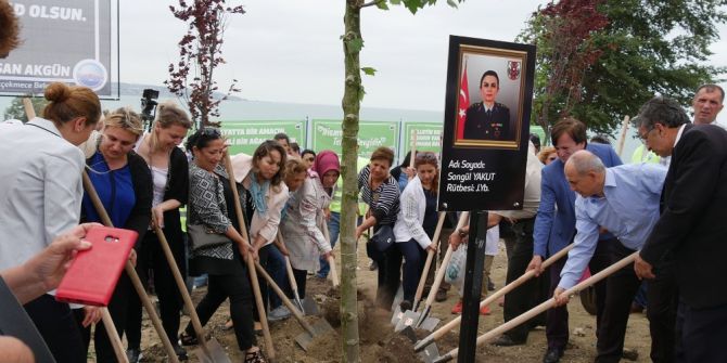 13 Şehit İçin, 13 Çınar