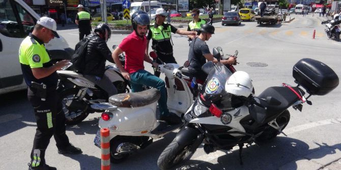 Çanakkale’de Şahinler Göz Açtırmıyor