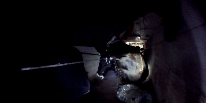 Menfezde Sıkışan İki Danayı İtfaiye Ekipleri Kurtardı