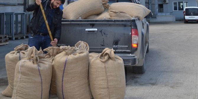 400 Bin Ton Fındık Piyasaya İndi