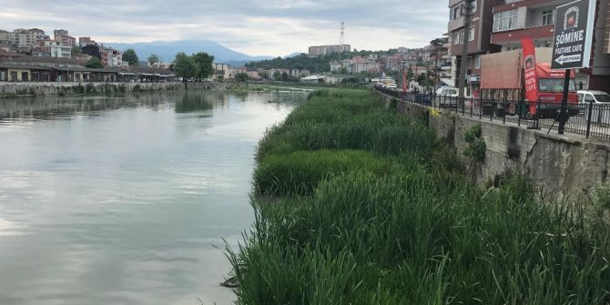 Alaplı Çayı Islah Çalışması Bekliyor