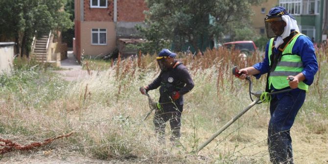 Körfez’de Yabani Otlar Temizleniyor