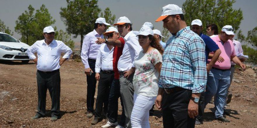 Başkan Kara, Tedaş Genel Müdürü İle Resul Osman Dağ’ında İncelemelerde Bulundu