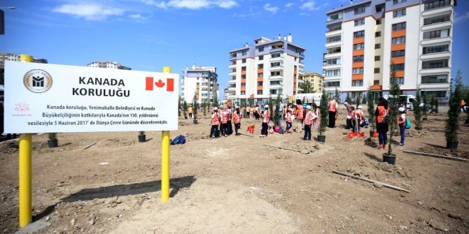 Yenimahalle’ye Kanada Koruluğu