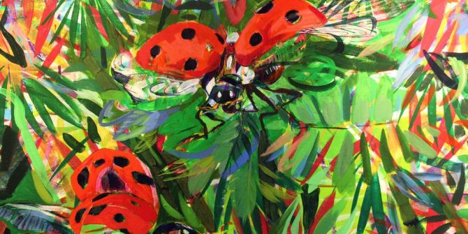 Kınkanatlılar Çankaya’da