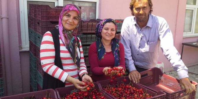 Selendi’de Kiraz Üreticisi Dertli