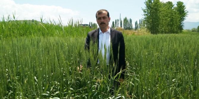 Yağmur, Çiftçileri Sevindirdi