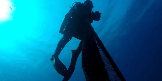 Balıkesir İtfaiyesi Bu Sefer Balıkları Kurtardı