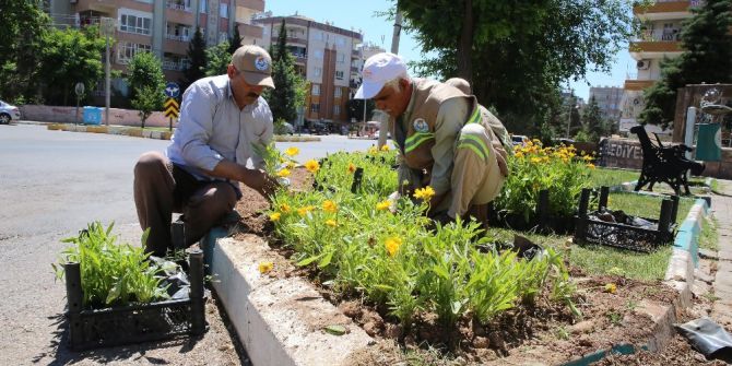Haliliye İlçesi Çiçeklerle Süsleniyor