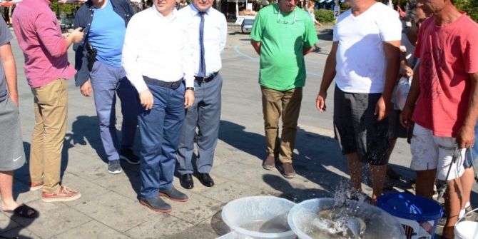 Çanakkale Balık İhracatında Önemli Noktada