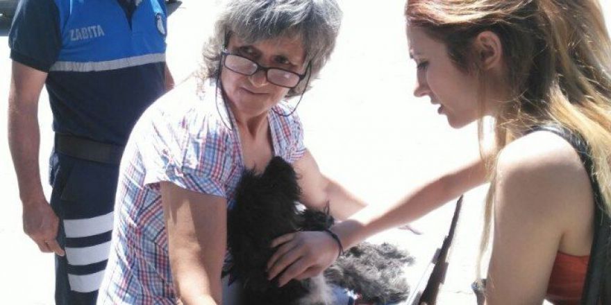 Yaralı Köpeğe Zabıtadan Ambulans Hizmeti