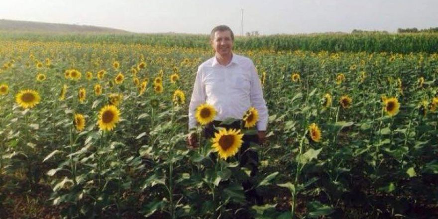 Chp Milletvekili Gaytancıoğlu: "Ayçiçeği Üreticisi Mağdur Edilmemeli"
