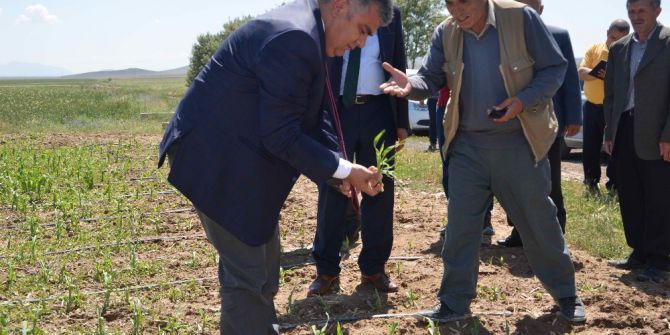 Ereğli’de Dolu Yağışının Ardından Arazide İncelemeler Sürüyor