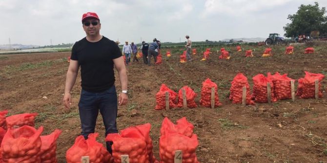 Tescilli Yerli Patateslerin Hasadı Yapılıyor