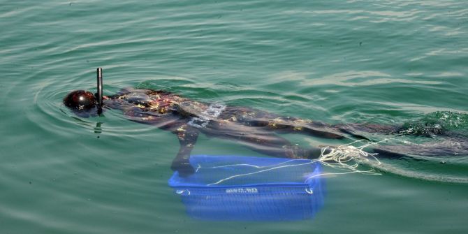 Denizden Çıkanlar Görenleri Şaşırttı