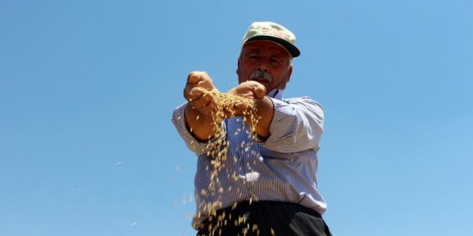 Son 10 Yılın En Verimli Hububat Hasadı Yaşanıyor