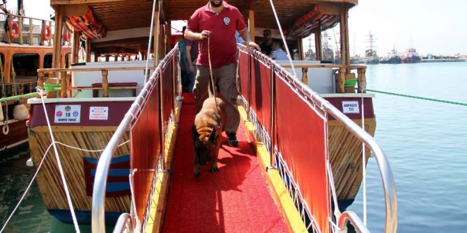 Alanya Polisi Gezi Teknelerine Yönelik Uygulamaları Sıklaştırdı