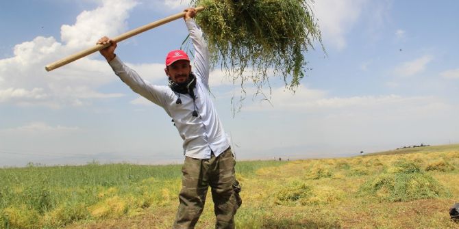 Batman’da 40 Derecede Hasat