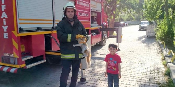 İtfaiye Ekipleri Küçük Çocuğun İhbarı Üzerine Ağaçtaki Kediyi Kurtardı