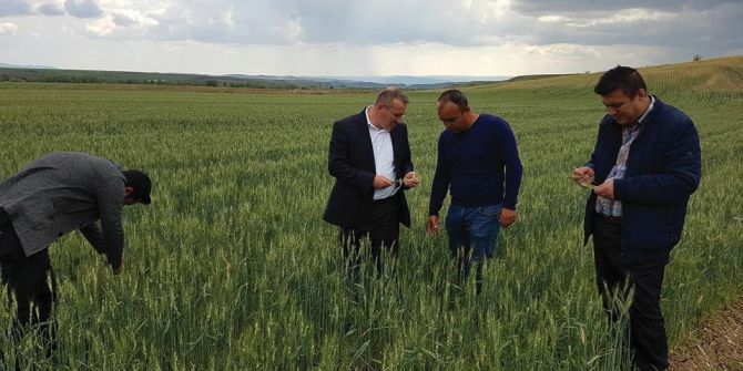 Sungurlu’da Tarım Arazilerini Dolu Vurdu