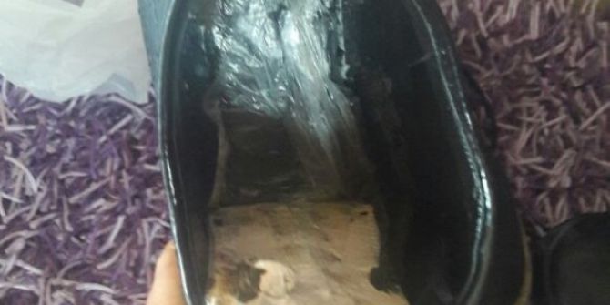 Jandarmadan Uyuşturucu Operasyonu